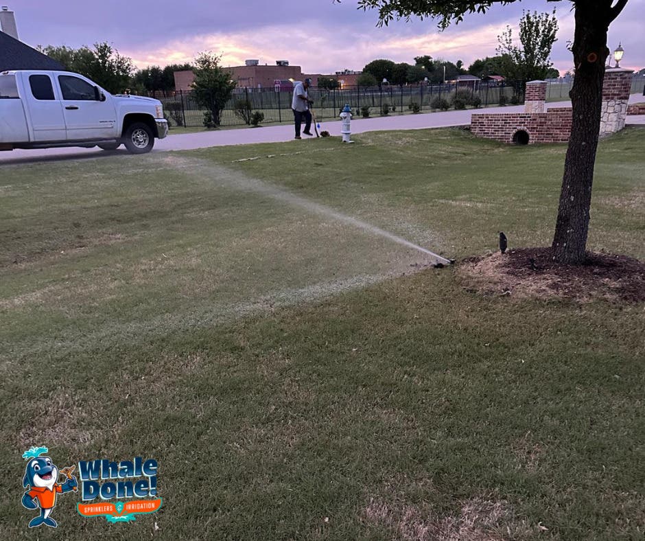 Uneven Lawn Watering? Here’s What It Might Mean