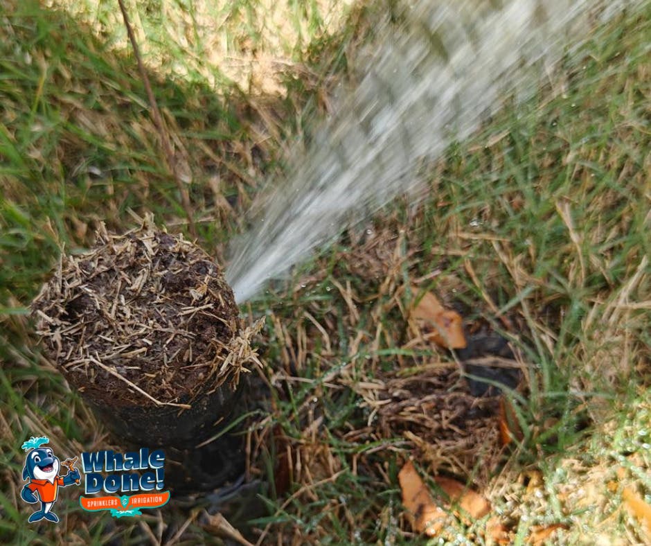 Small Sprinkler Issue? It Could Be Costing You More Than You Think 💧
