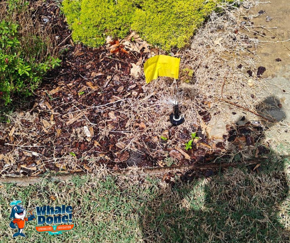 Small Sprinkler Issue That Can Cost You More Over Time 💧