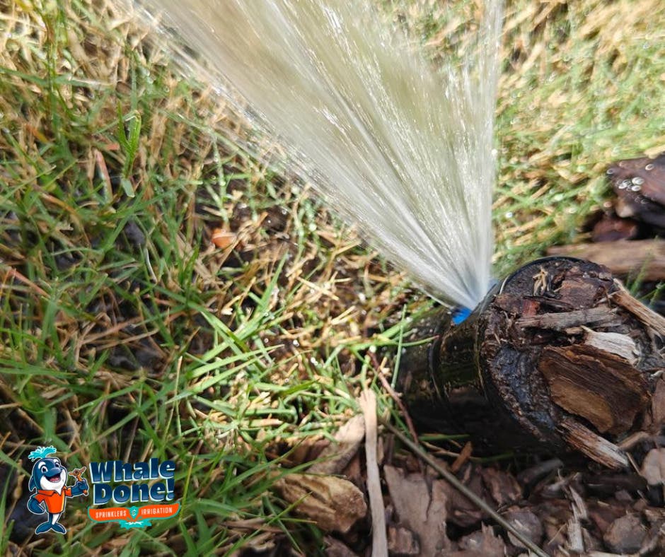 Small Sprinkler Problems Can Lead To Bigger Lawn Repair Costs