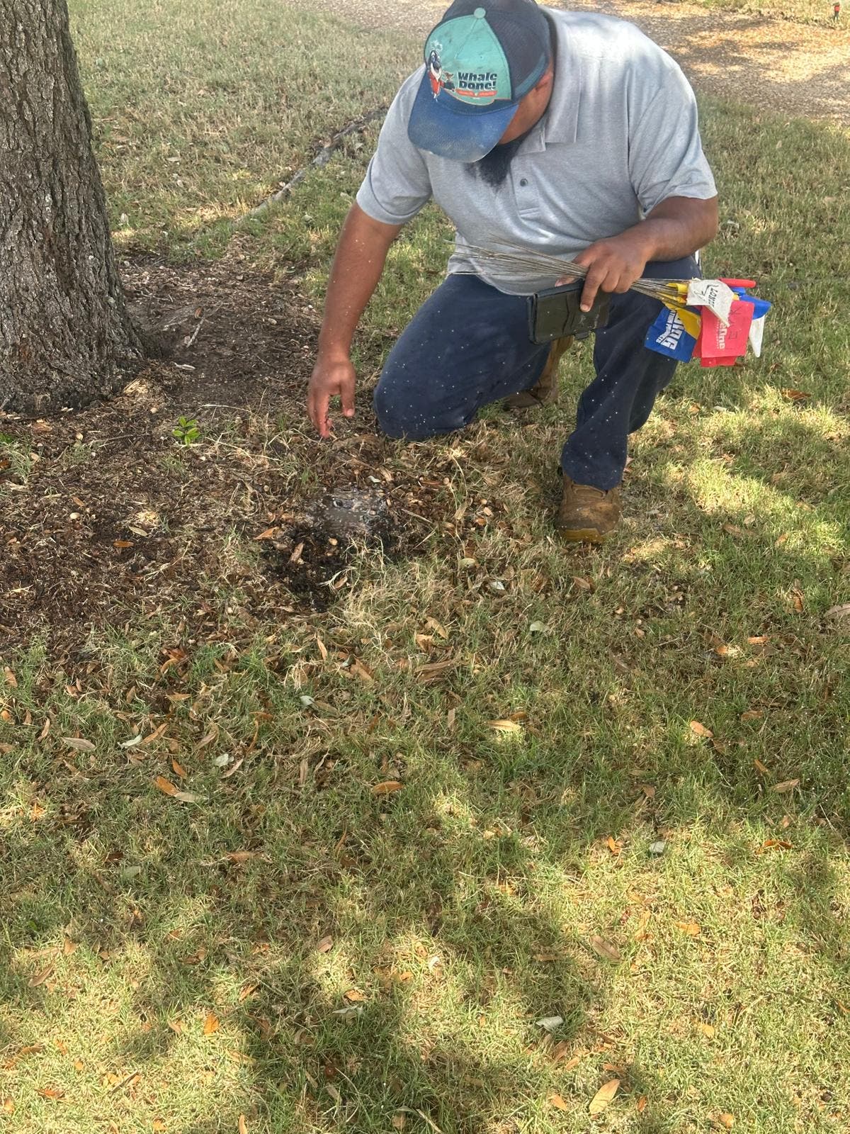 Lucas Irrigation Repair Restores Proper Water Coverage for Homeowner