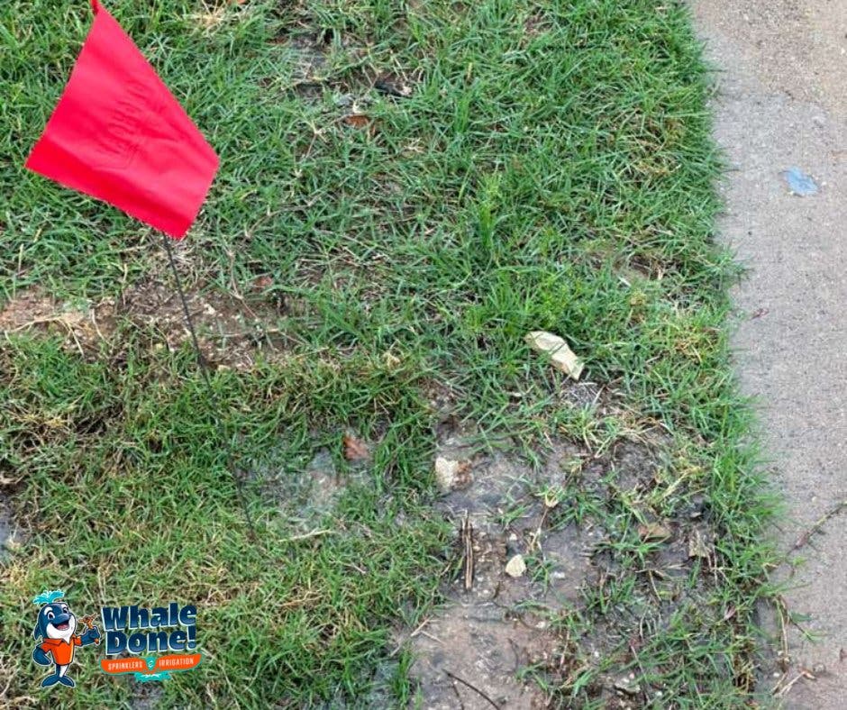 Sprinkler Head Repair Completed for McKinney Homeowner to Restore Proper Lawn Watering