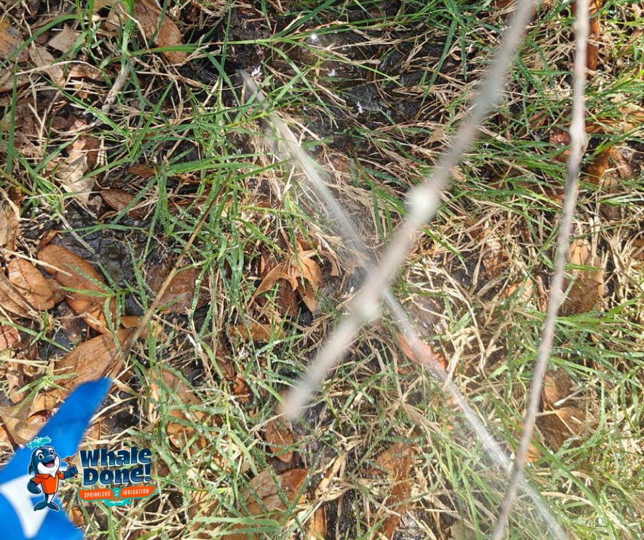 Water should be reaching your lawn — not disappearing underground. 💧👀