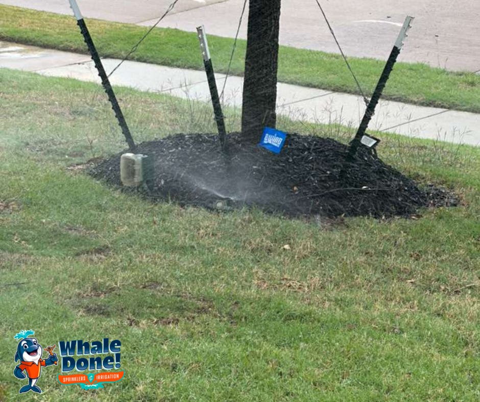 McKinney Sprinkler Head Repair & Replacement 💧🌱