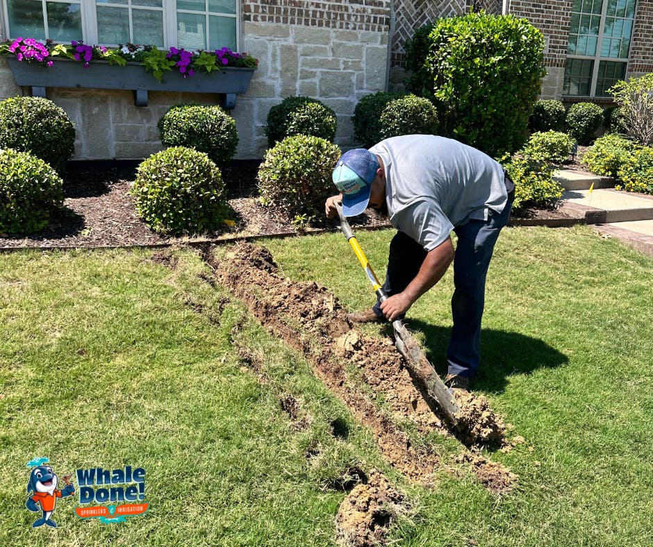 Prosper, TX Sprinkler Reroutes & Repairs Completed 💧🔧