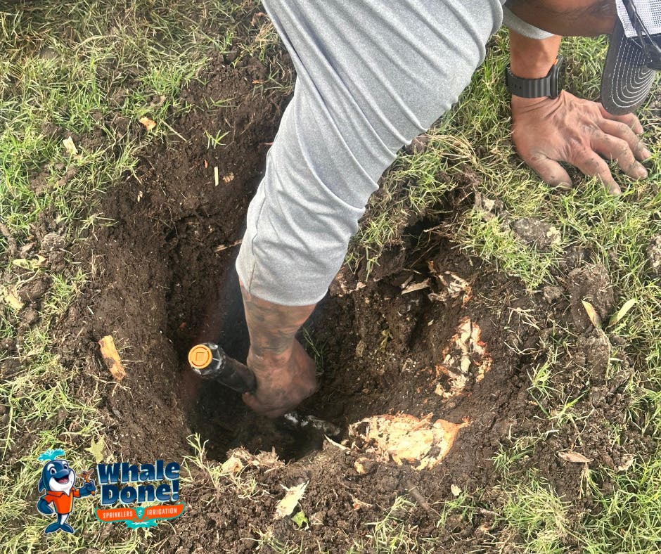 Sprinkler leaks and broken heads taken care of in Frisco, TX! 🔧🌱