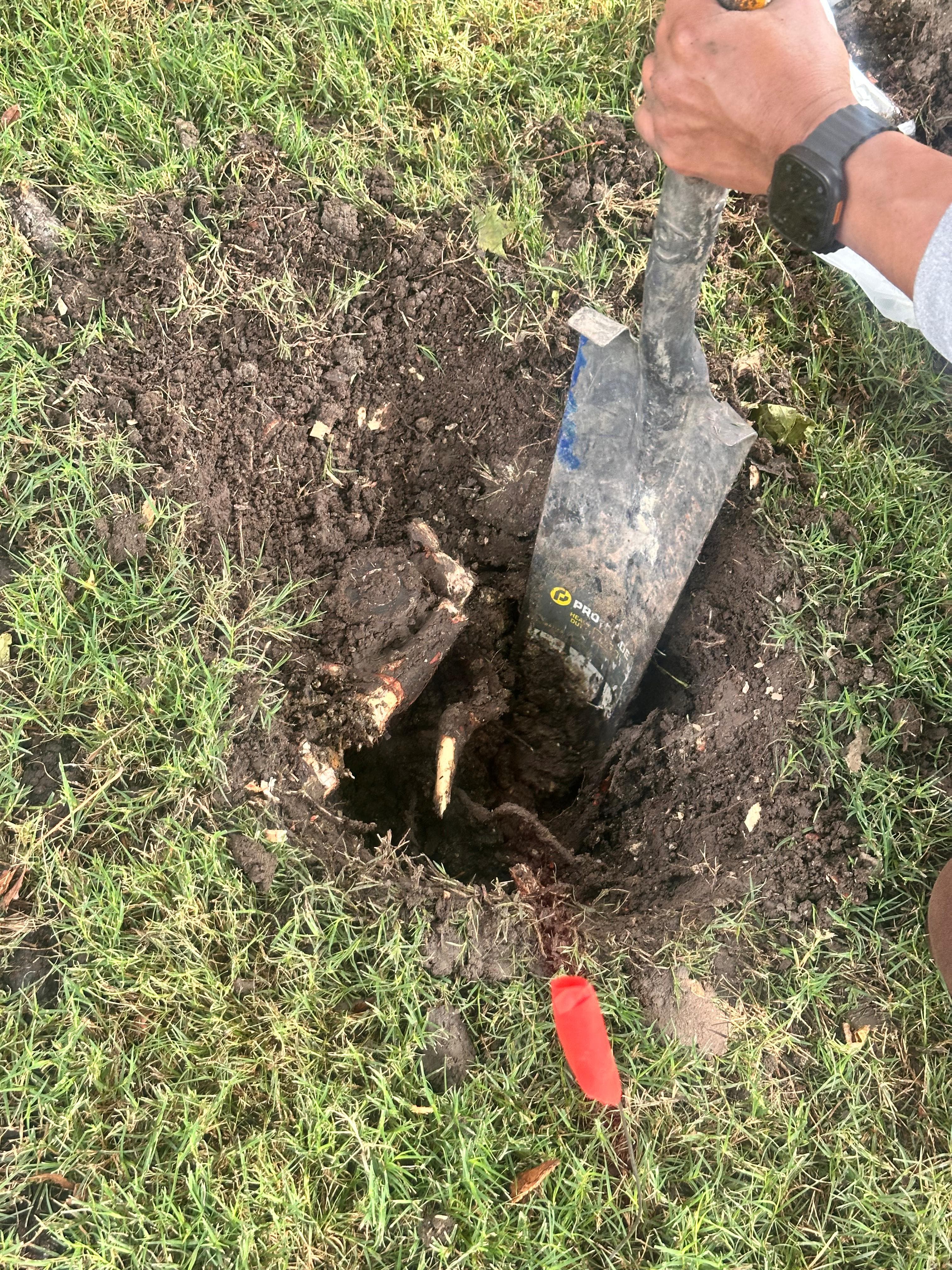 Frisco, TX | Leaks & Sprinkler Heads