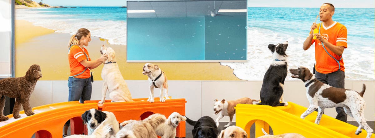 Dogtopia of North Gilbert