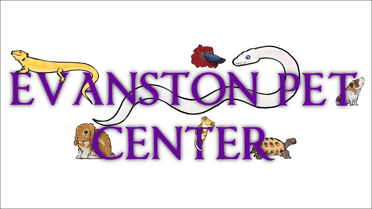 Evanston Pet Center