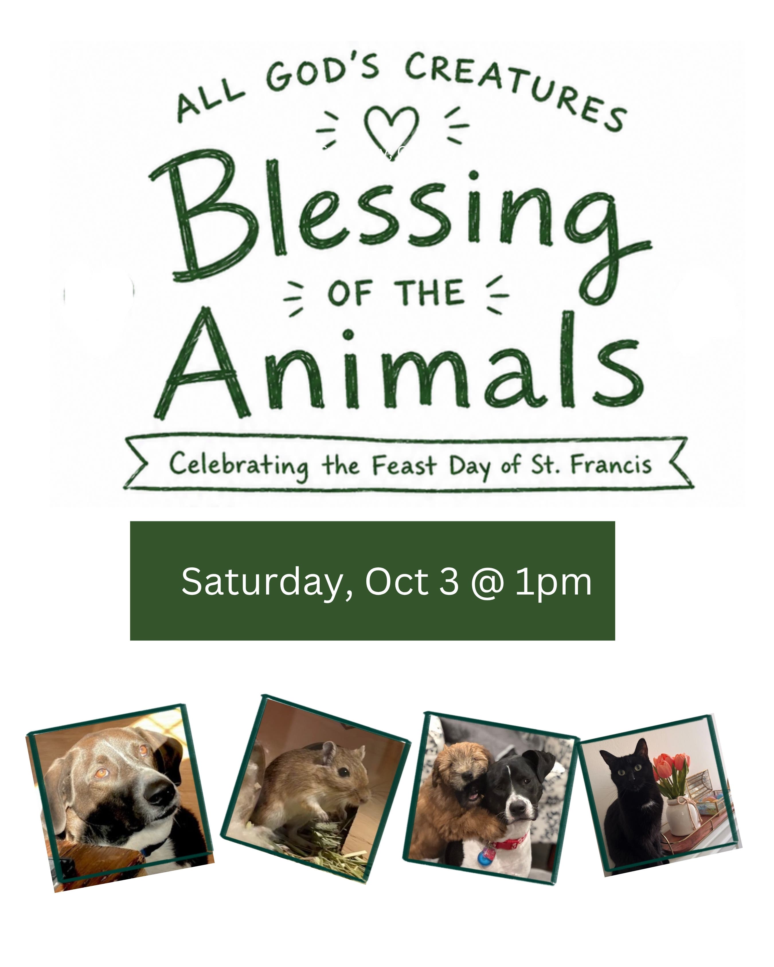 Blessing of the Animals