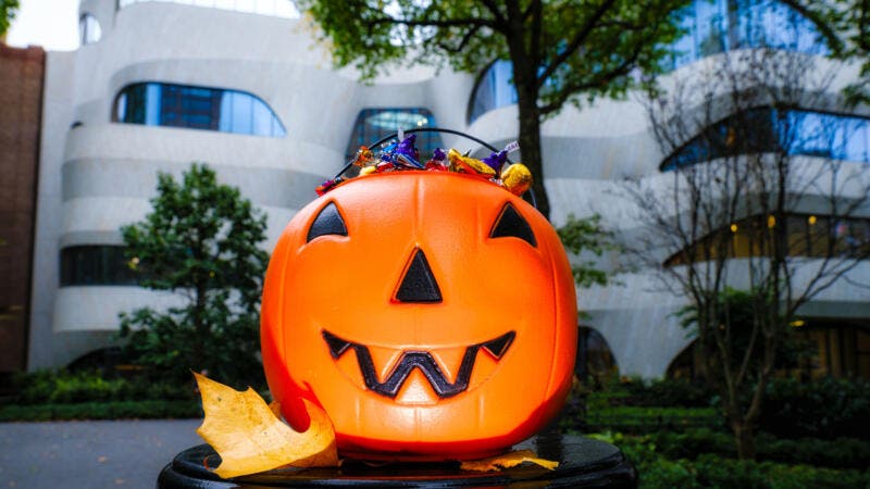 Halloween Celebration at the American Museum of Natural History 