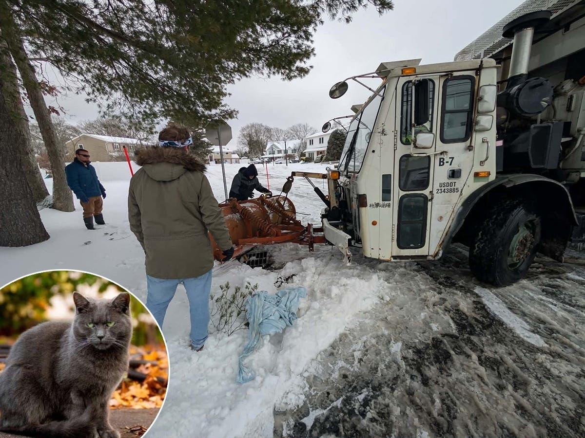 Long Islanders came together to help the stray cat.