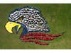 Kramer Lane’s student body created the image of an eagle.