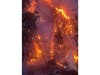 There were 10 reported injuries from the fire, NCFM says.