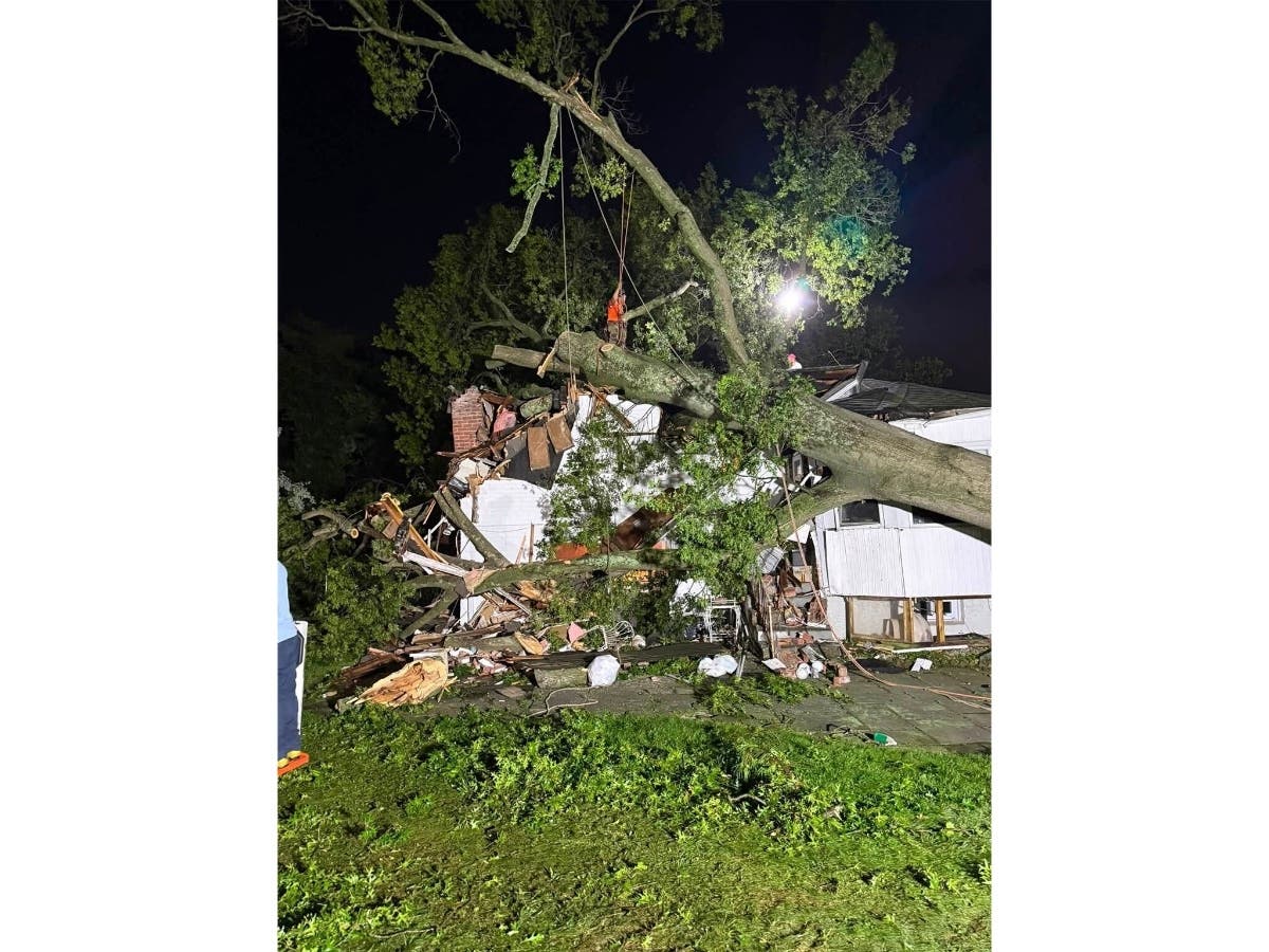 Tree Crashes Into Westbury Home Monday Night, Cats Still Trapped