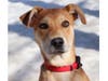 Beatrice's brother has already been adopted, and now it's her turn.