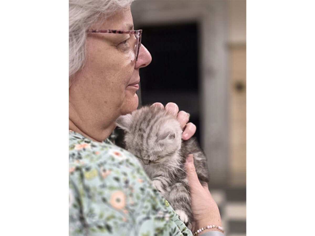 https://patch.com/img/cdn20/users/27191431/20260831/024031/styles/patch_image/public/sue-cat-4___31143936989.jpg