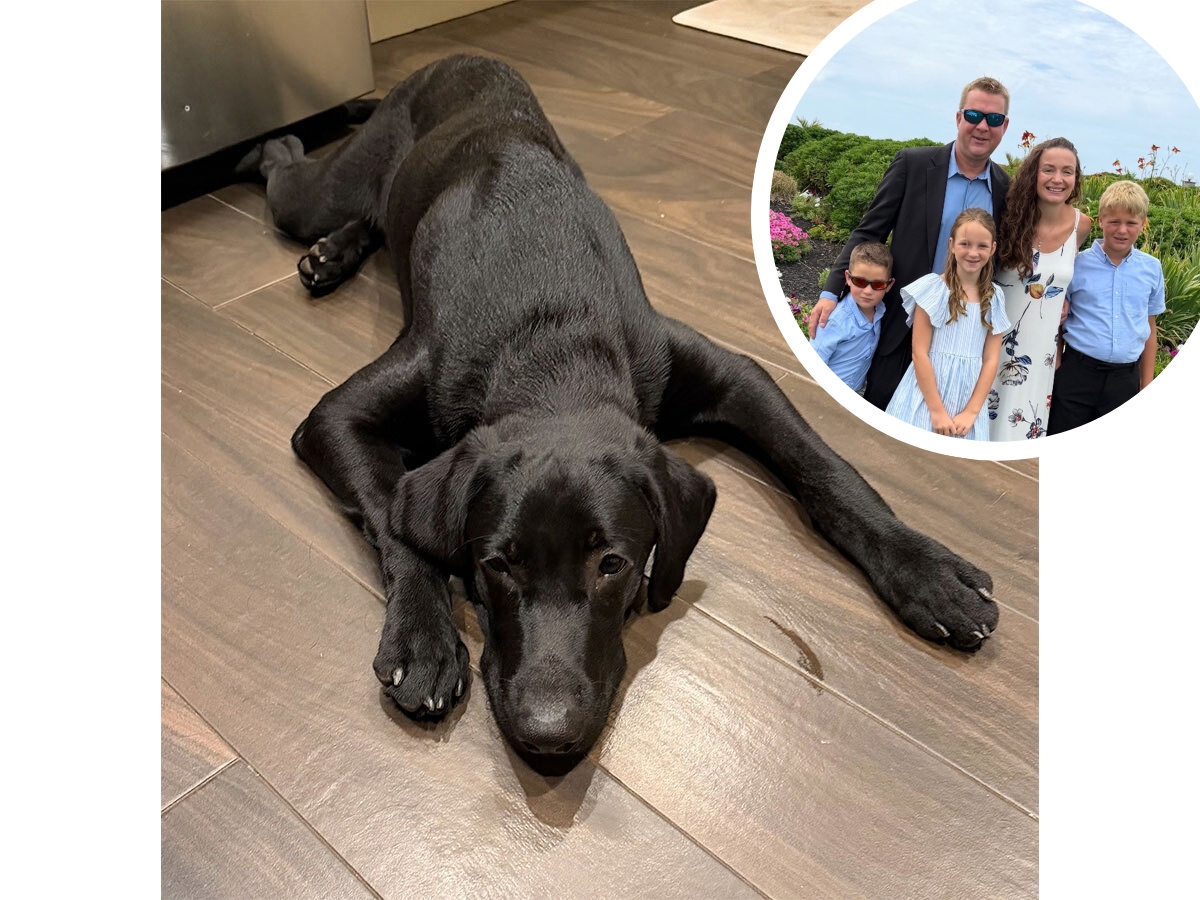 Oyster Bay Family Desperate For Missing Puppy's Return