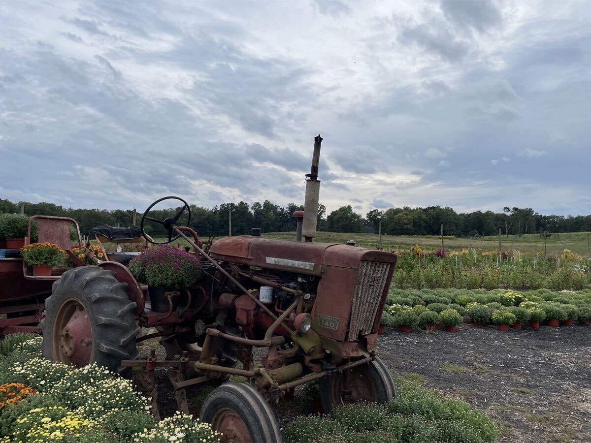 There are many farm stands across Long Island to check out this autumn.