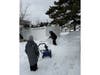 Savannah Hoffman helps shovel snow alongside other neighbors as volunteers worked for several hours to dig out homes across Babylon Village.