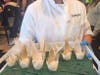 Guests sampled complimentary dessert items during the grand-opening celebration at Wonder in Huntington.