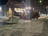 A Town of Smithtown Highway Department loader clears packed snow and ice near the Town of Smithtown Horizons Center during overnight cleanup operations.