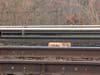 A cream-colored tabby cat lies between the rails on the Long Island Rail Road tracks before being rescued Sunday evening, according to MTA police.