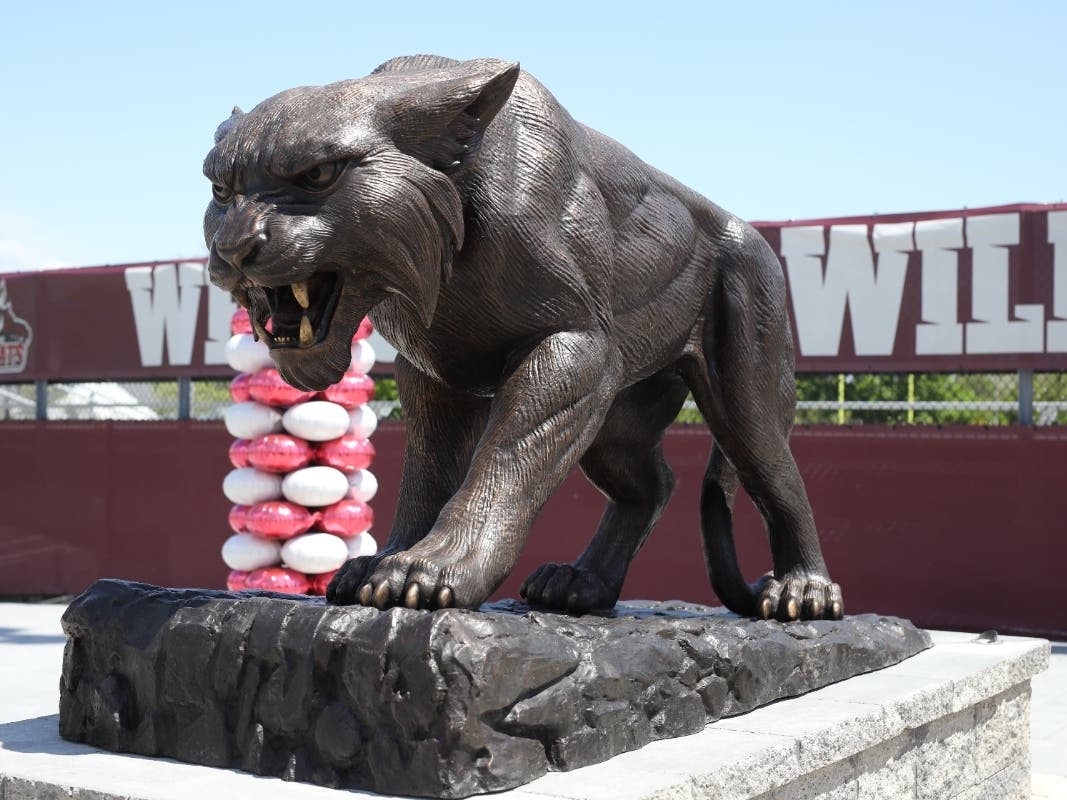 The new bronze Wildcat statue stands at the center of Wildcat Plaza outside Wildcat Stadium at Walt Whitman High School. The monument was created to celebrate the district’s centennial year.