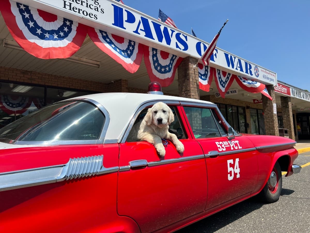 https://patch.com/img/cdn20/users/27193599/20260527/112532/styles/patch_image/public/paws-of-war-car-show-1-1___27110749089.jpg