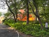 Heavy flames and smoke rise from an Oakside Drive home as firefighters battle a three-alarm blaze in Smithtown.
