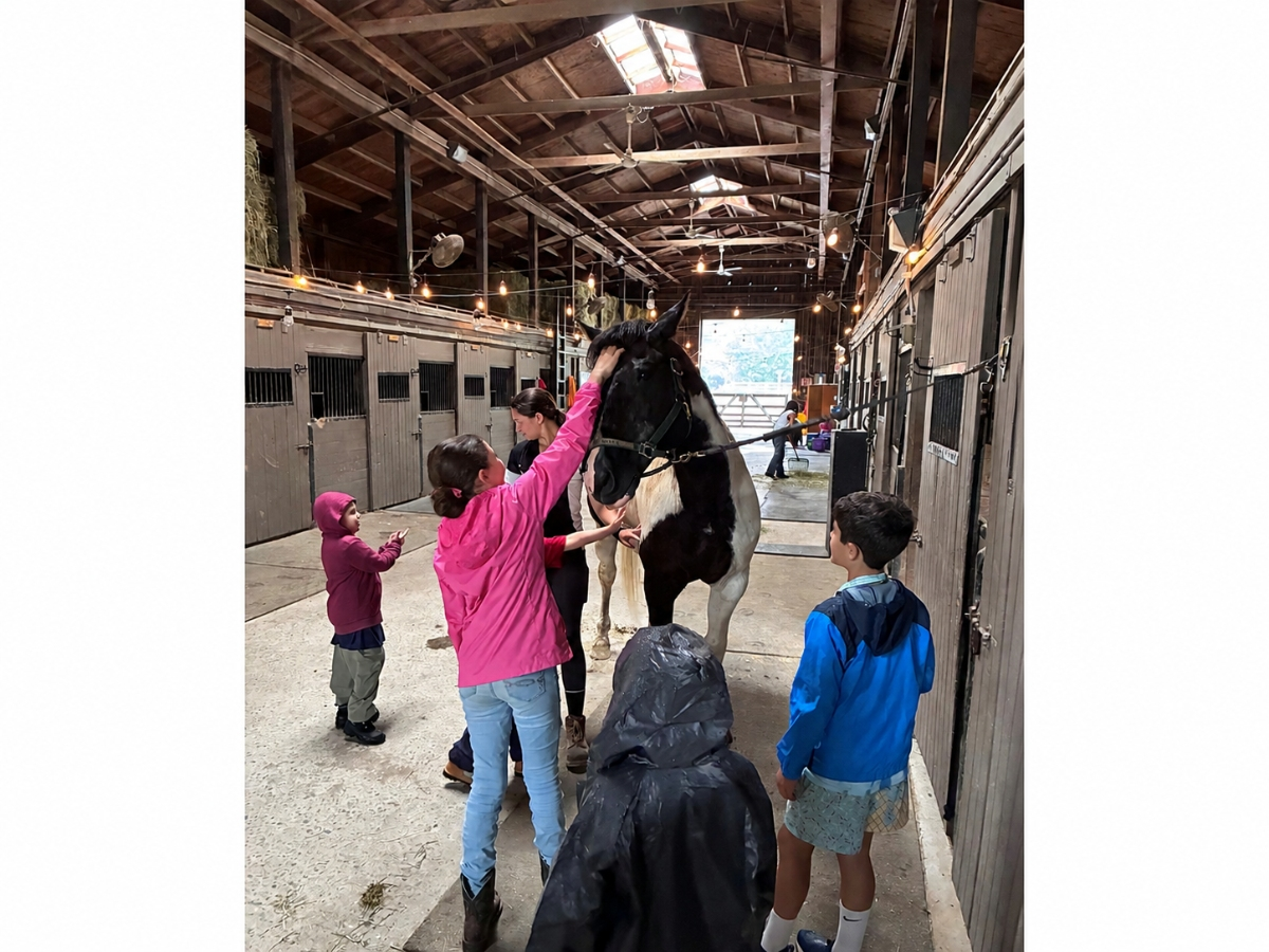 Children participating in Pal-O-Mine Equestrian’s inclusive summer programs interact with a horse at the nonprofit’s Islandia campus.