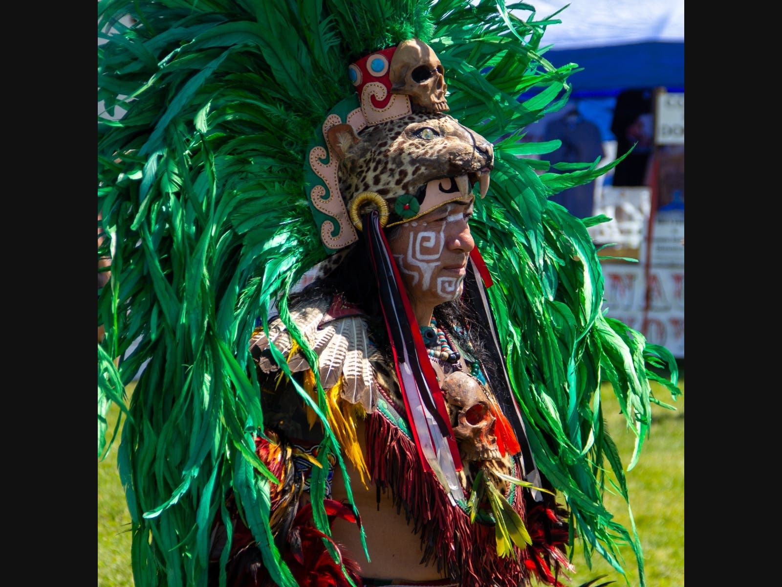 A dancer wearing elaborate regalia performs during a previous Paumanauke Pow Wow. The annual cultural festival returns to Tanner Park in Copiague on Aug. 8 and 9.