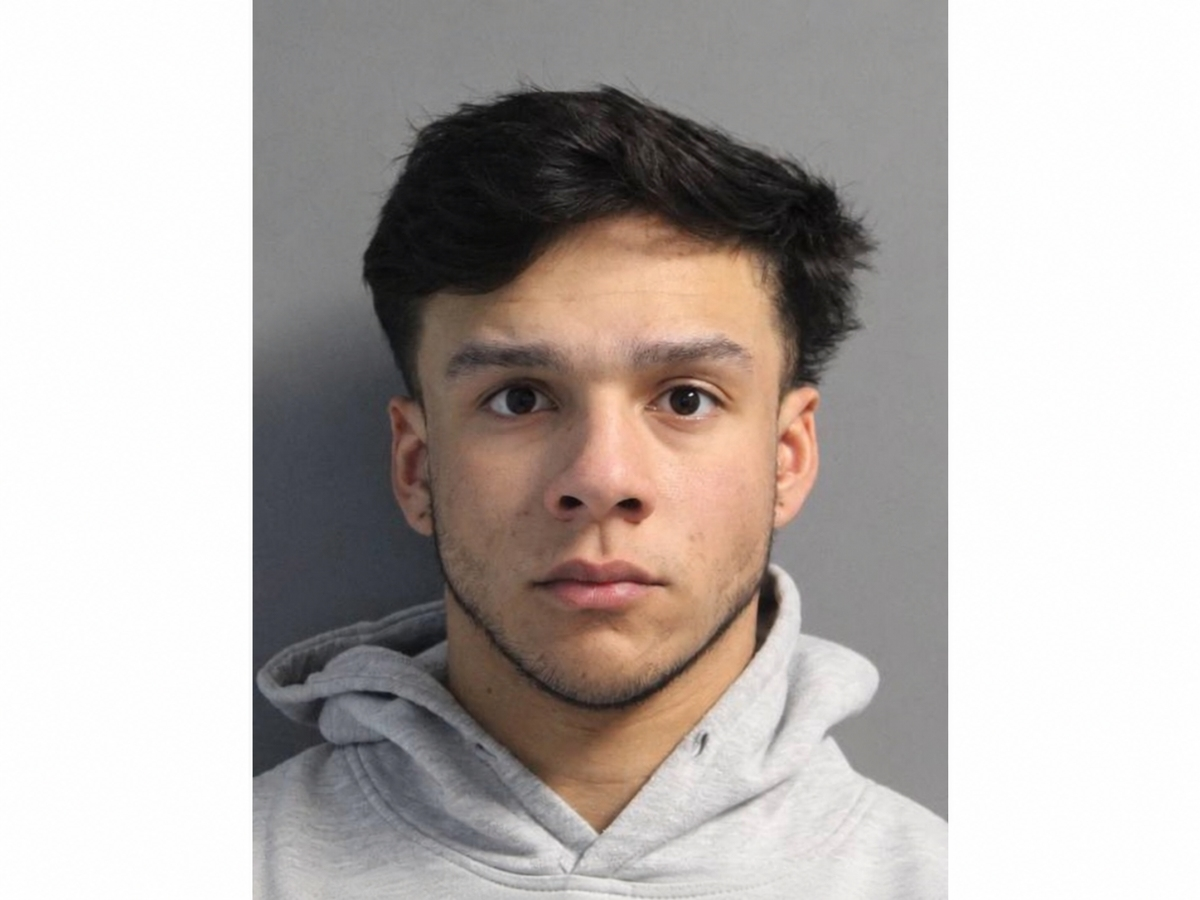 Alexander Cerda, 23, of Bay Shore, pleaded guilty in connection with a fatal 2025 DWI crash, prosecutors said.