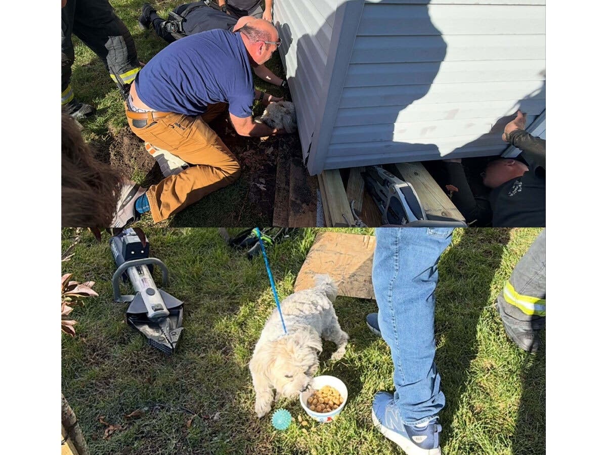 Bay Shore Fire Department members rescue Cody, a dog trapped beneath a backyard shed on Gardiner Drive. Firefighters used hydraulic rescue tools known as the "Jaws of Life" to lift the shed and free the dog in about 20 minutes.