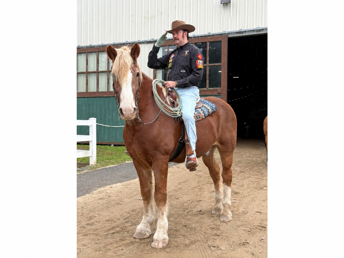 Tom salutes while riding Goliath at Pal-O-Mine Equestrian in Islandia. The organization will host its "Red, White & Boots" fundraiser on Nov. 5 to support programs for Long Island veterans.