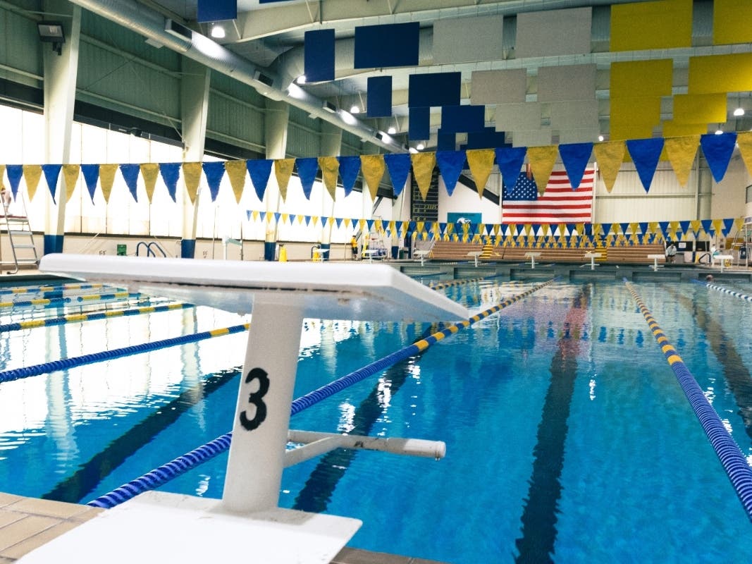 Hofstra University will add men's and women's swimming and diving teams to its NCAA Division I athletics program. The teams will begin competing during the 2027-28 academic year.