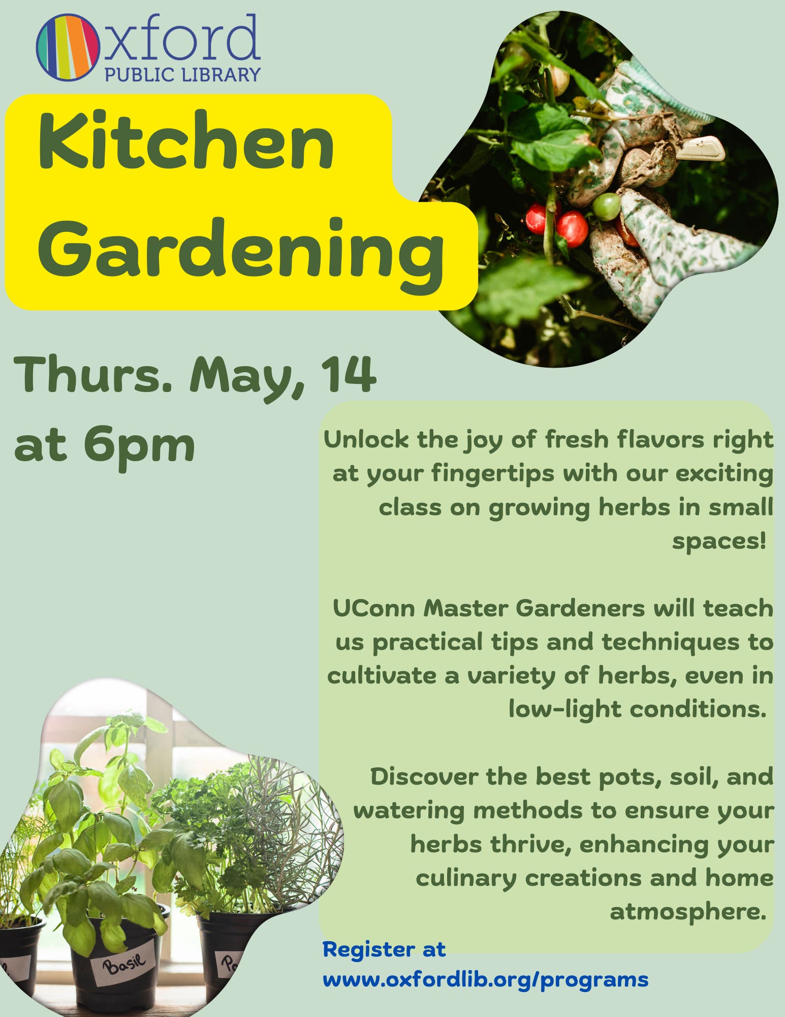 Kitchen Gardening 101