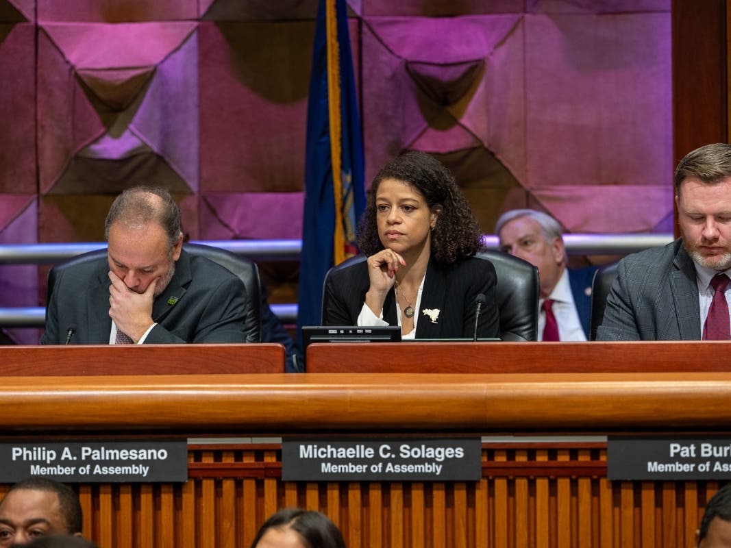 New York State Assemblywoman Michaelle Solages hears "Tin Cup Day" budget presentations Thursday. 