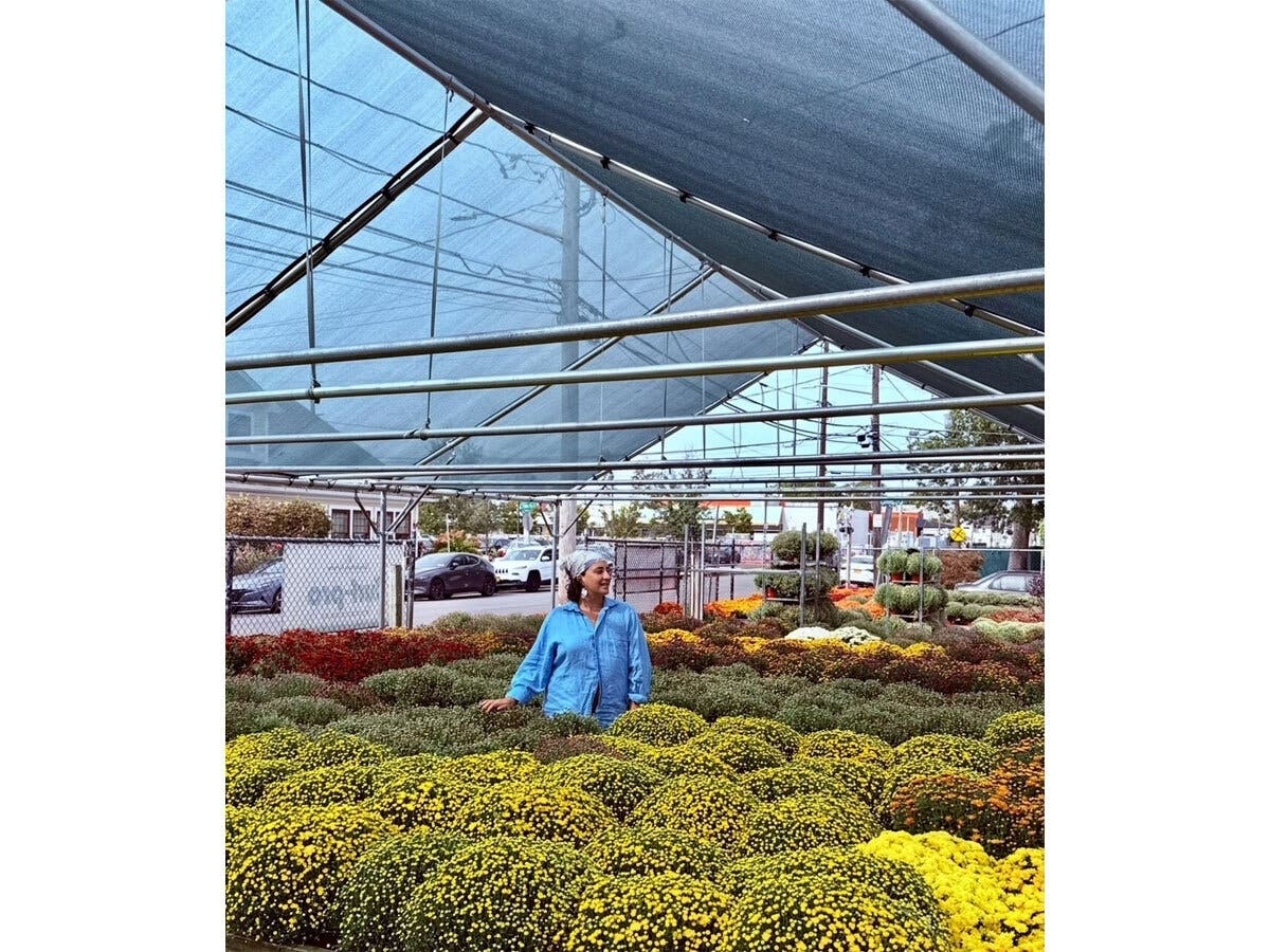 Haley DeSetta, at the garden center where she now works. DeSetta told Patch she left a long career in food and beverage service behind after a 2021 cancer diagnosis forced her to take stock of what was important in her life. 