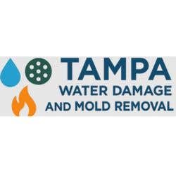 Tampa Water Damage and Mold Removal