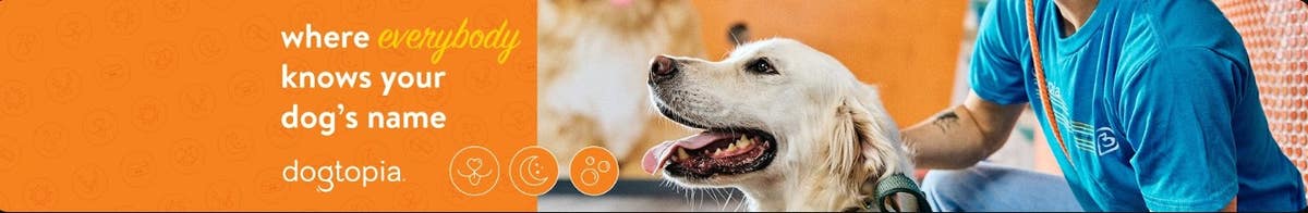 Dogtopia of St. Paul - University Ave