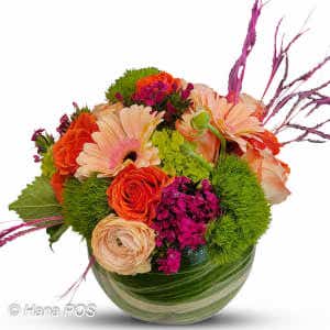 Flowers & Festivities