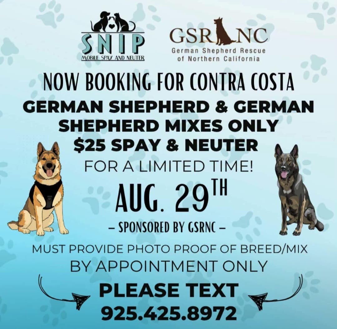 German Shepherd Spay & Neuter Clinic 🐕‍🦺