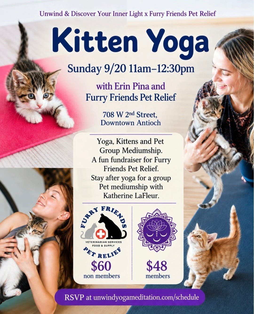 Kitten Yoga benefiting Furry Friends Pet Relief ๐