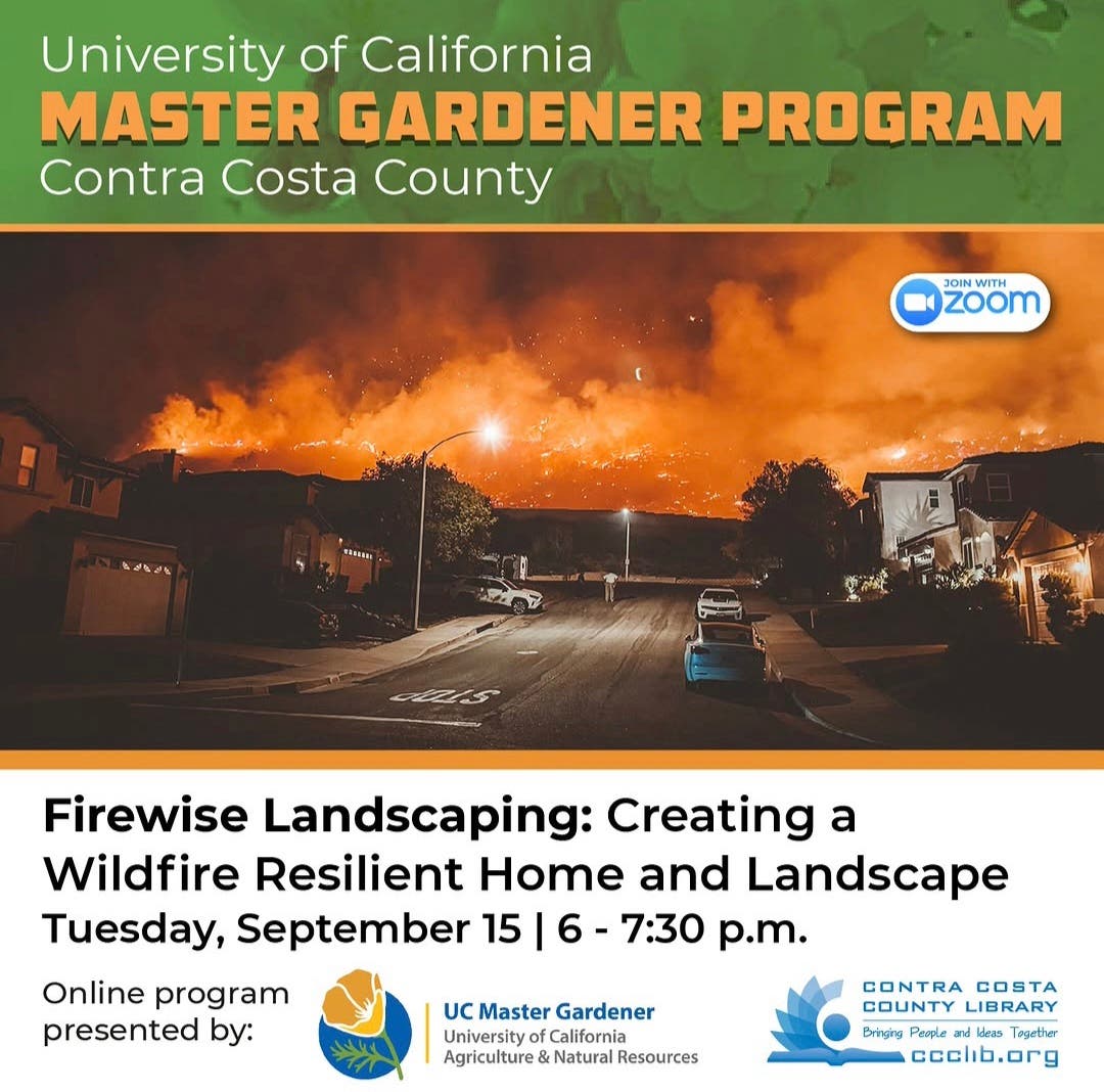 Firewise Landscaping: Creating A Wildfire Resilient Home And Landscape