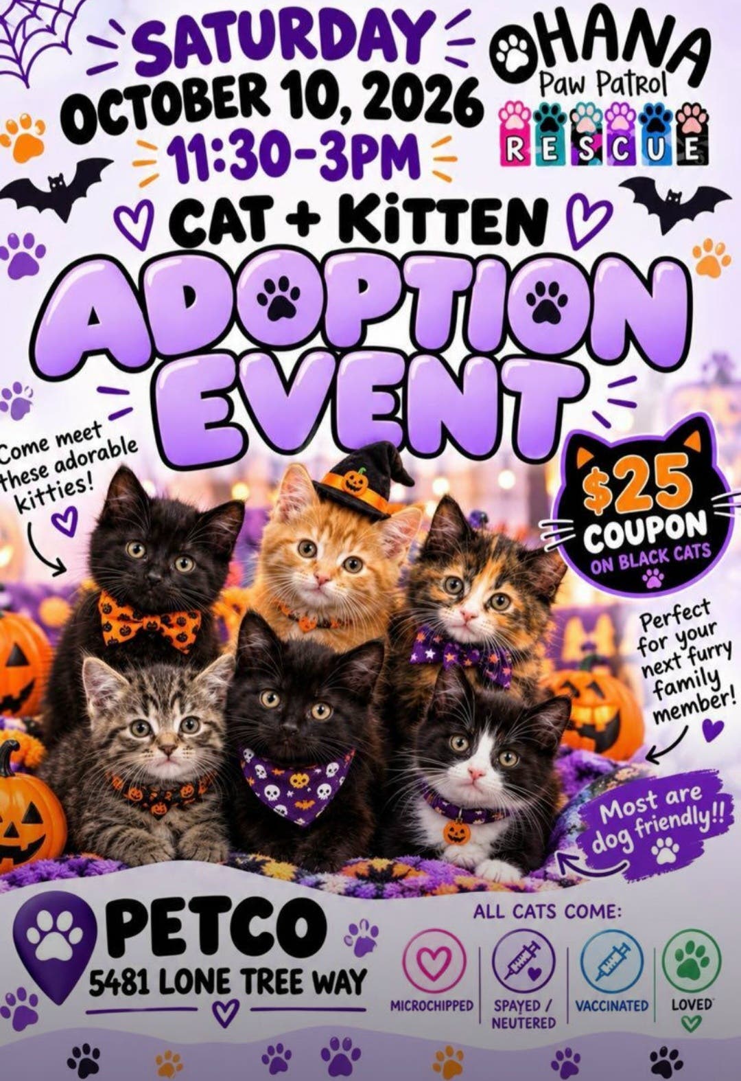 Cat + Kitten Adoption Event ๐