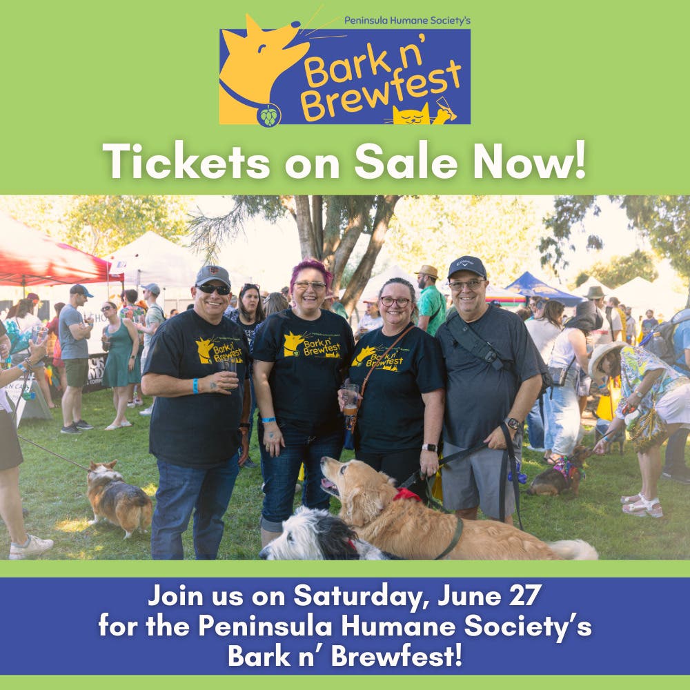 Bark n' Brewfest