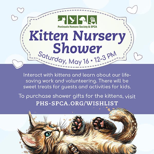 Peninsula Humane Society & SPCA Kitten Nursery Shower