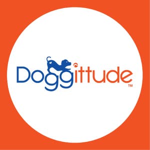 Doggittude and Cattitude Street Strutters