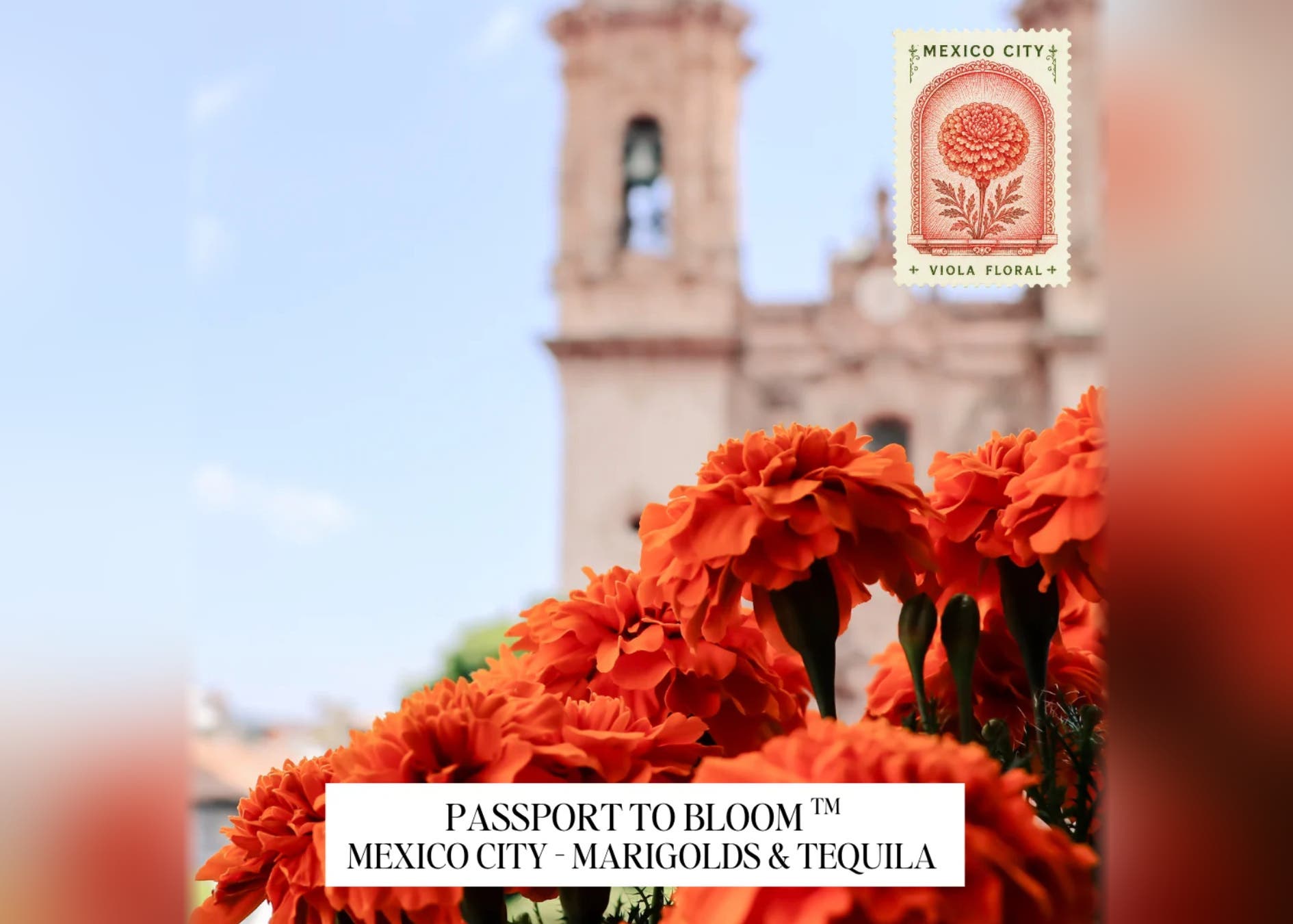 Passport to Bloom™: Mexico City - Marigolds & Tequila Workshop